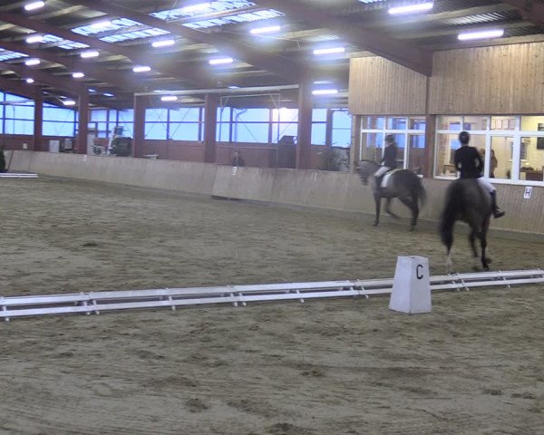Reitturnier Ostenfelde-Vornholz 2024