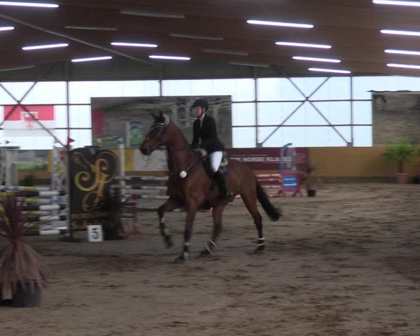 Reitturnier Pausin 2021