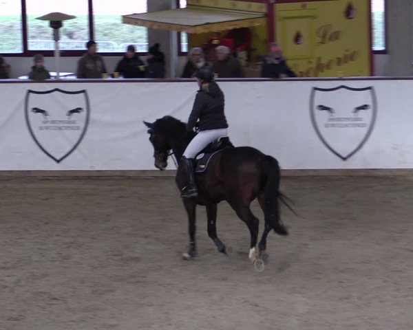 Reitturnier Prussendorf 2024