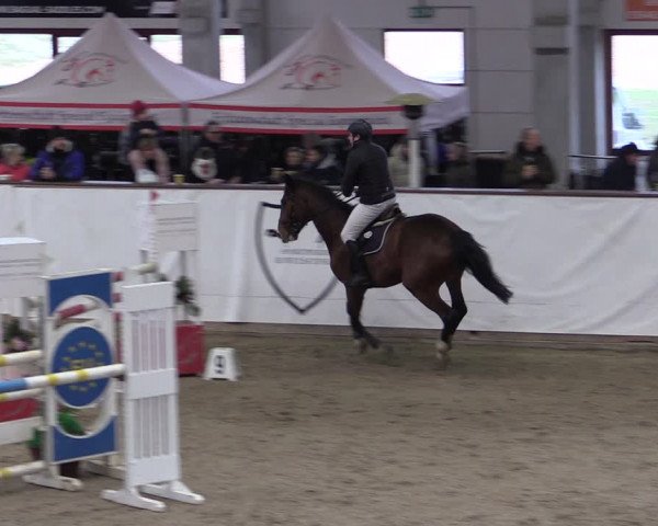 Reitturnier Prussendorf 2024