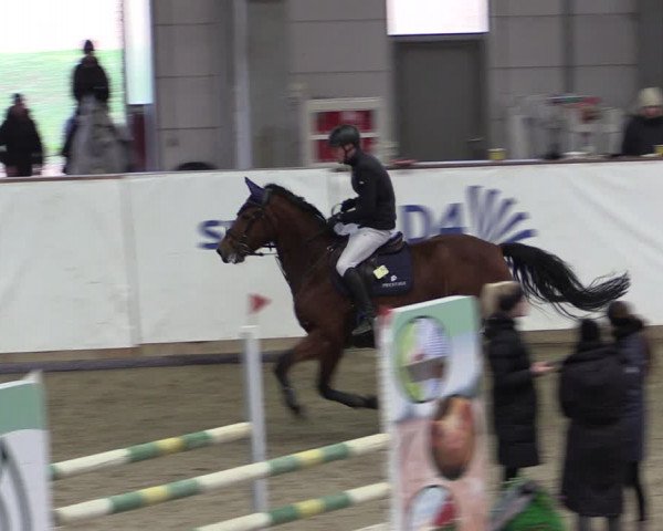 Reitturnier Prussendorf 2024