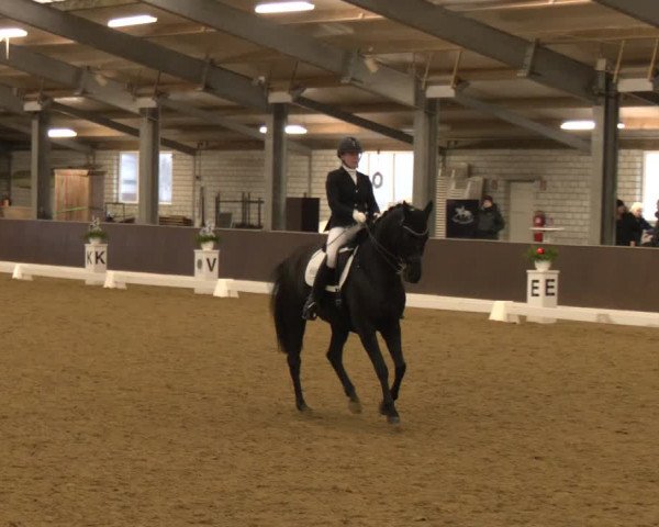 Reitturnier Bottrop-Kirchhellen 2024