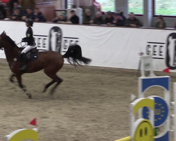 Reitturnier Prussendorf 2024