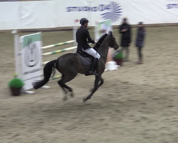 Reitturnier Prussendorf 2024