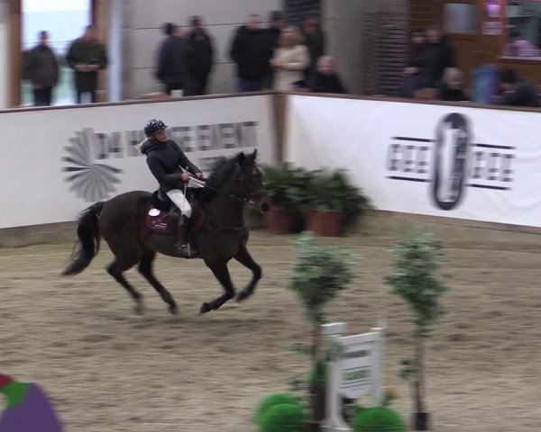 Reitturnier Prussendorf 2024