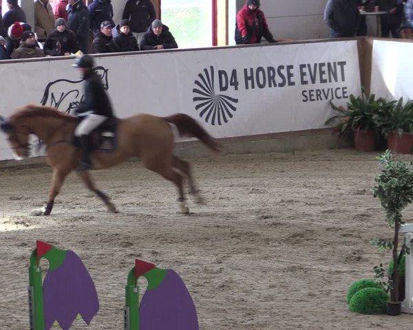 Reitturnier Prussendorf 2024