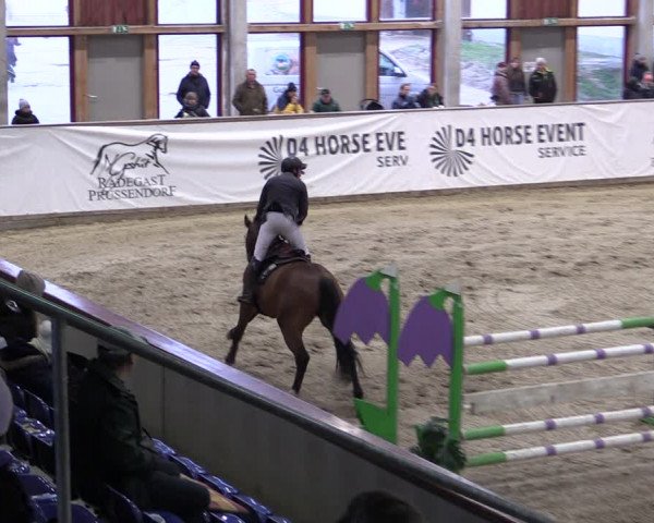 Reitturnier Prussendorf 2024