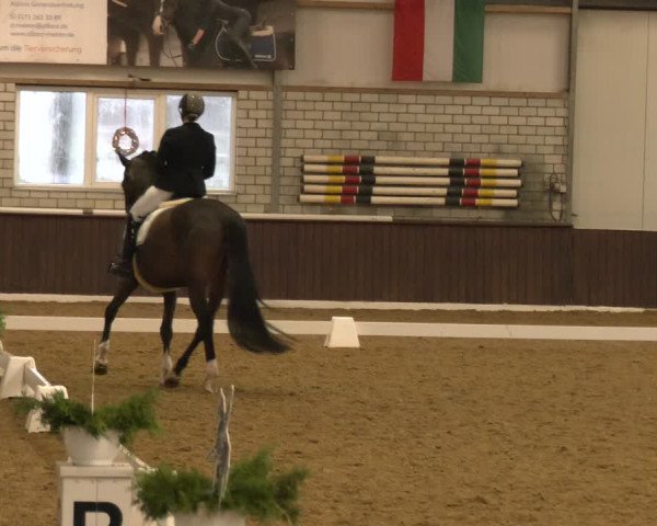 Reitturnier Bottrop-Kirchhellen 2024