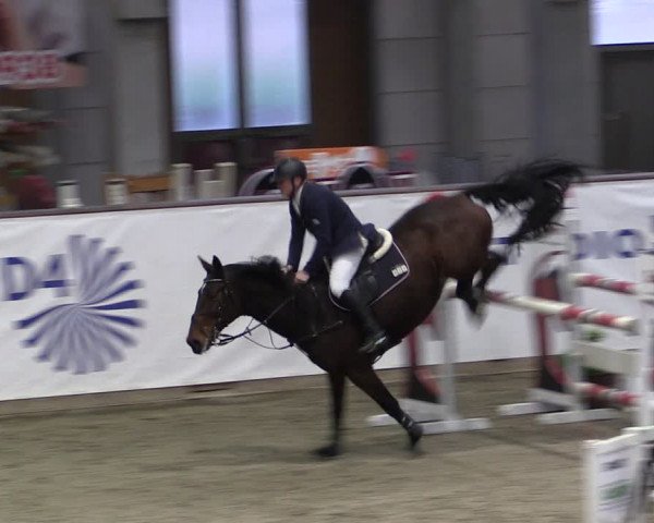 Reitturnier Prussendorf 2024