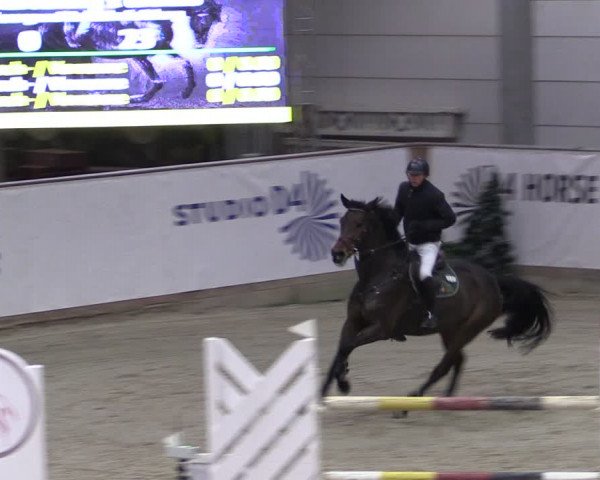 Reitturnier Prussendorf 2024