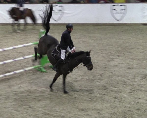 Reitturnier Prussendorf 2024