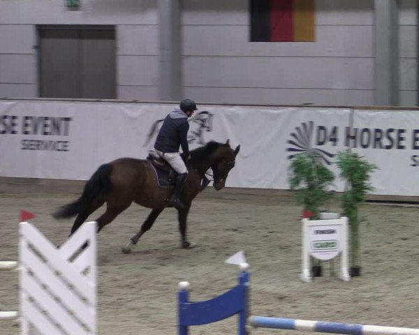 Reitturnier Prussendorf 2024