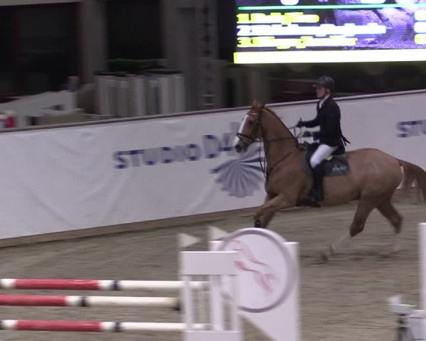 Reitturnier Prussendorf 2024