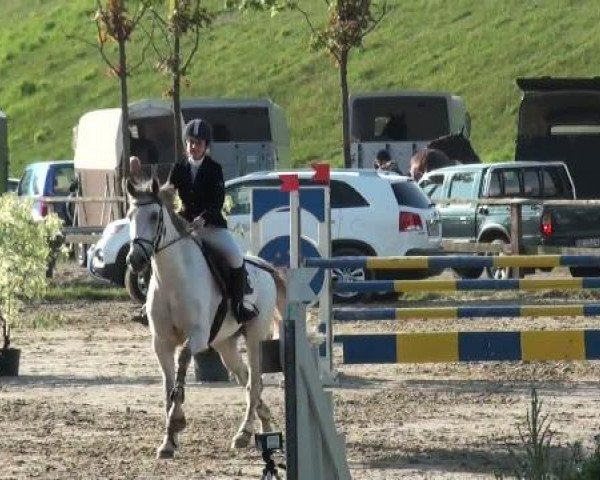 Dorsten 2011
