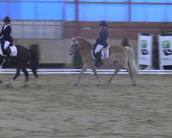 Reitturnier Ostenfelde-Vornholz 2024