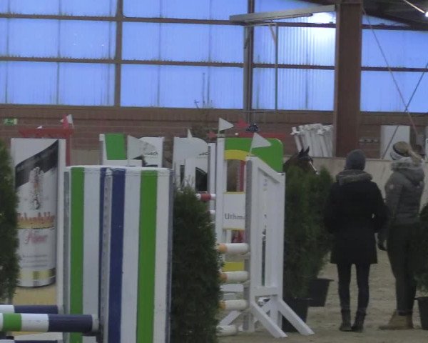 Reitturnier Ostenfelde-Vornholz 2024
