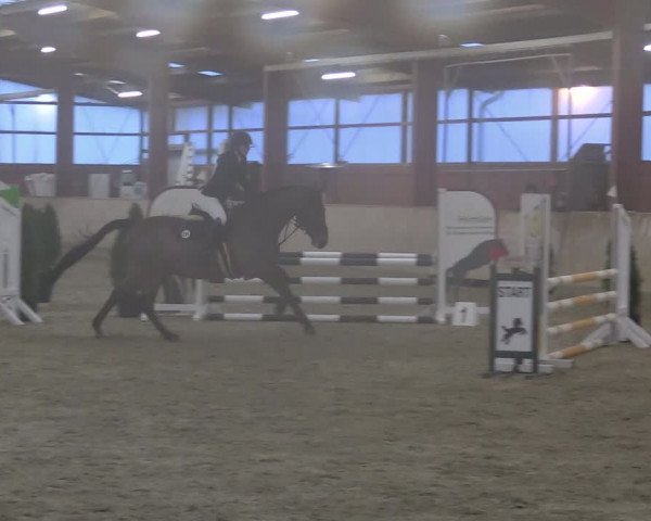 Reitturnier Ostenfelde-Vornholz 2024
