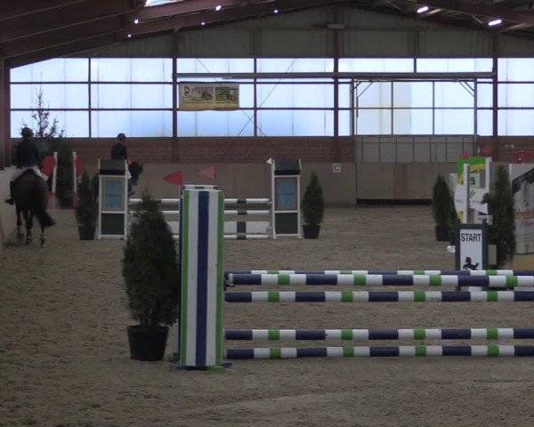 Reitturnier Ostenfelde-Vornholz 2024