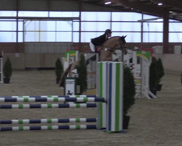 Reitturnier Ostenfelde-Vornholz 2024