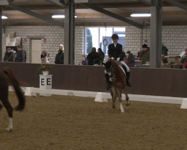 Reitturnier Bottrop-Kirchhellen 2024