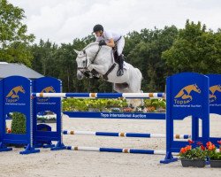 jumper Rolensky Mvnz (unknown, 2015, from Cornet Obolensky)