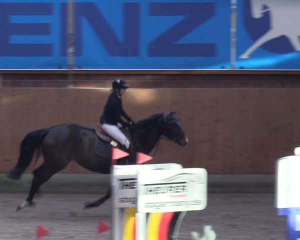 Reitturnier Osterholz-Scharmbeck 2024