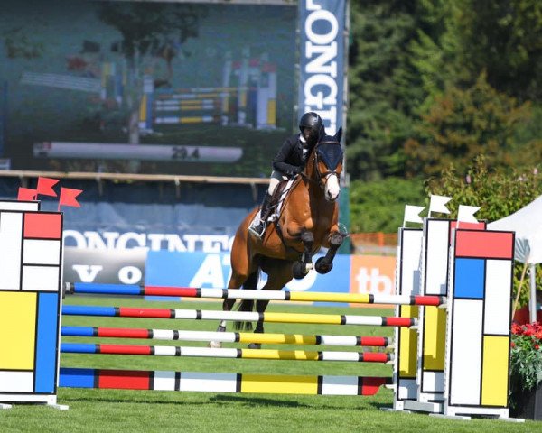 Springpferd van de Sar (Oldenburger, 2008, von Zento)