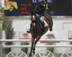 Springpferd Ice Cool Niki WS (KWPN (Niederländisches Warmblut), 2013, von Zambesi TN)