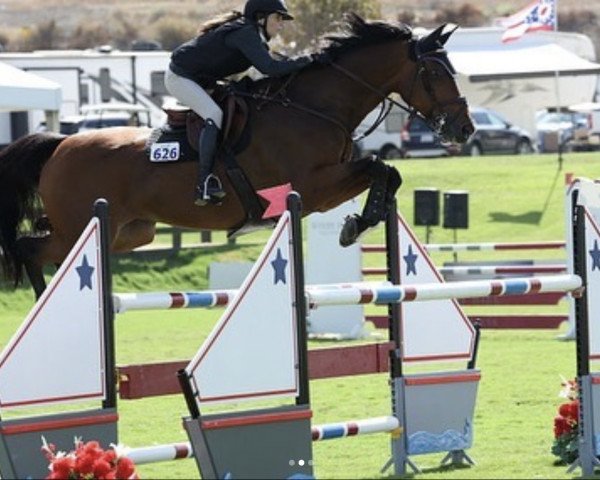 jumper Finna W (KWPN (Royal Dutch Sporthorse), 2010, from Cantos)