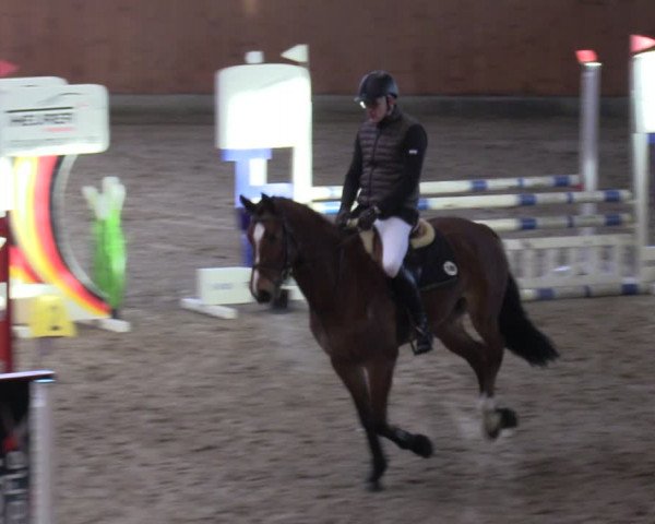 Reitturnier Osterholz-Scharmbeck 2024