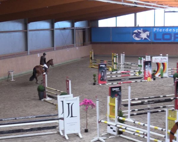 Reitturnier Osterholz-Scharmbeck 2024