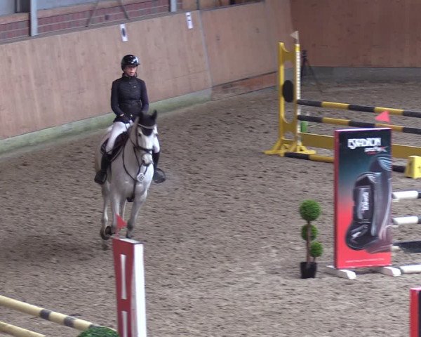 Reitturnier Osterholz-Scharmbeck 2024