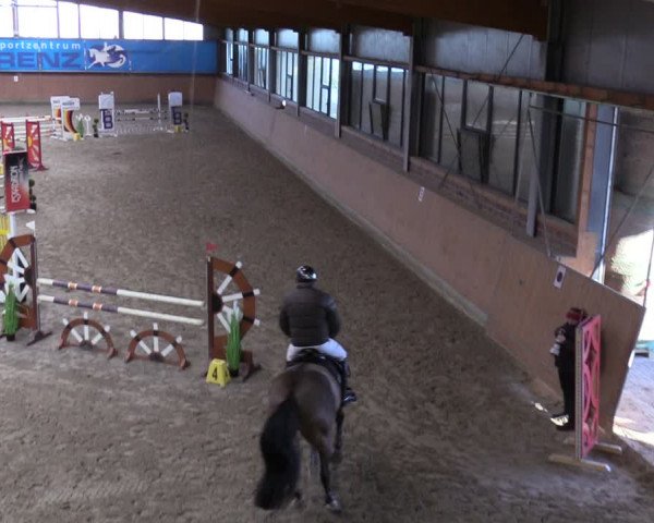 Reitturnier Osterholz-Scharmbeck 2024