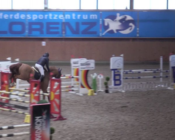 Reitturnier Osterholz-Scharmbeck 2024