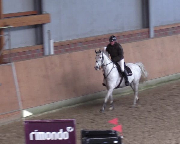 Reitturnier Osterholz-Scharmbeck 2024