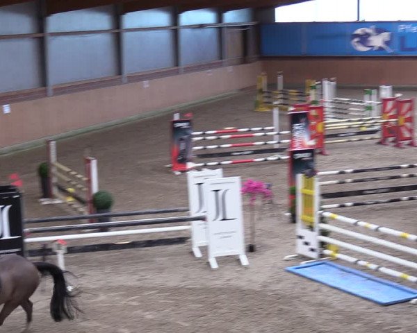 Reitturnier Osterholz-Scharmbeck 2024