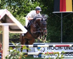jumper Coco Chanel 311 (Oldenburg show jumper, 2017, from Coupe Gold)