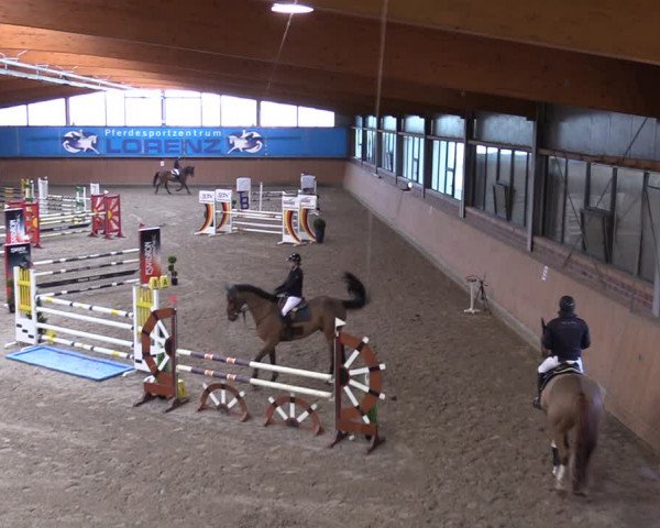 Reitturnier Osterholz-Scharmbeck 2024