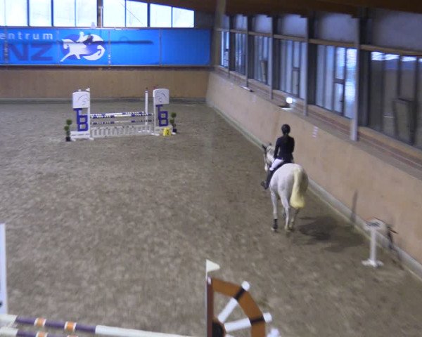 Reitturnier Osterholz-Scharmbeck 2024