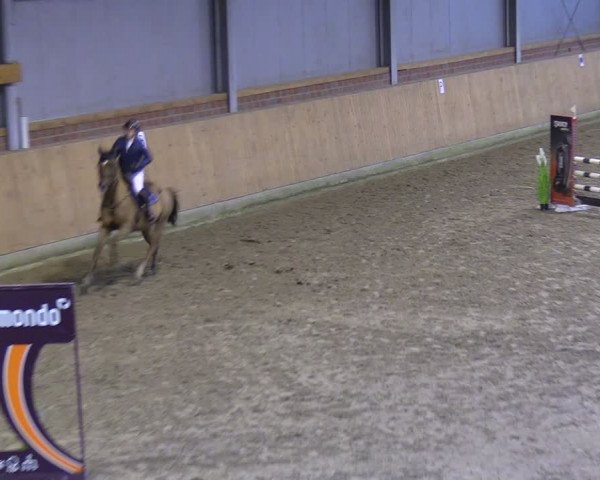 Reitturnier Osterholz-Scharmbeck 2024