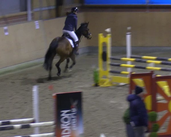 Reitturnier Osterholz-Scharmbeck 2024