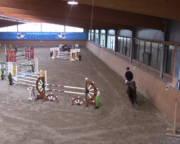Reitturnier Osterholz-Scharmbeck 2024