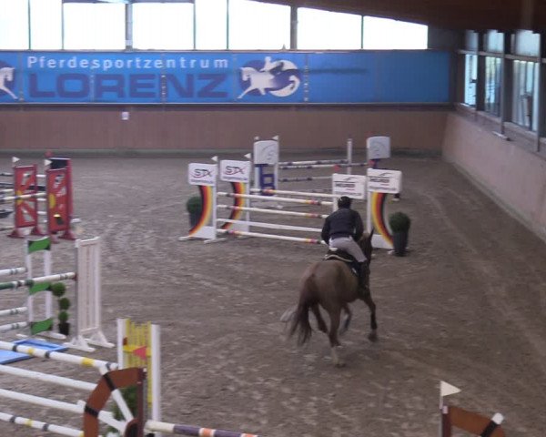 Reitturnier Osterholz-Scharmbeck 2024