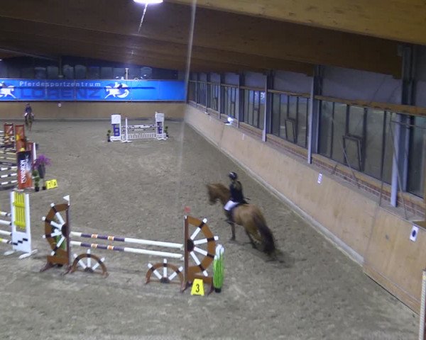Reitturnier Osterholz-Scharmbeck 2024