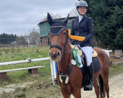 jumper PAV Vaiana (German Riding Pony, 2017, from Del Sol 4)