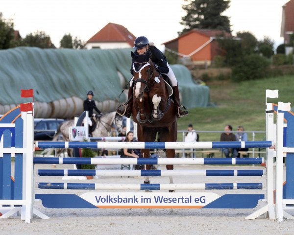 jumper Do 'little (Hanoverian, 2017, from Diamant de Plaisir 178 FIN)