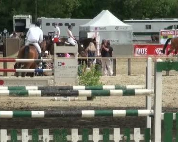 Reitturnier Dorsten 2011