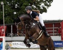 jumper Lantano Casino (Oldenburg, 2016, from Larimar)