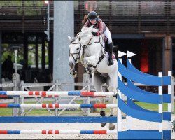 jumper Valentino (Oldenburg, 2016, from Vivant)