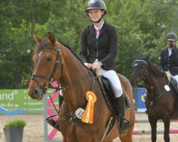 jumper Quinn 56 (Bavarian, 2013, from Quilato 3)